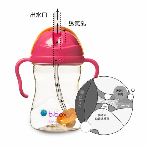 B.BOX SIPPY CUP防漏吸管學飲杯黃金系列( PPSU)